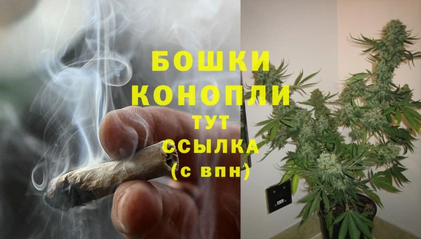2c-b Белокуриха